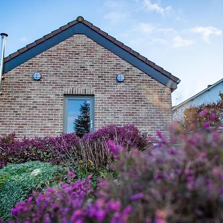 K-jol Et Vous * אייבלי